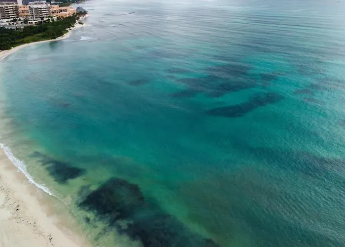 Exclusive Ocean-view In Riviera Maya Apartment