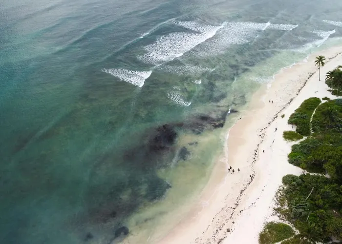 Exclusive Ocean-view In Riviera Maya * Playa del Carmen